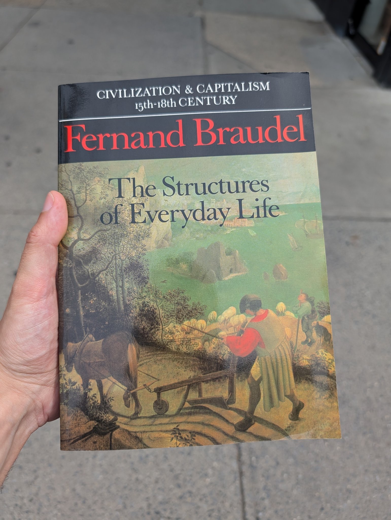 Civilization and Capitalism 15th-18th Century: The Structures of Everyday Life
